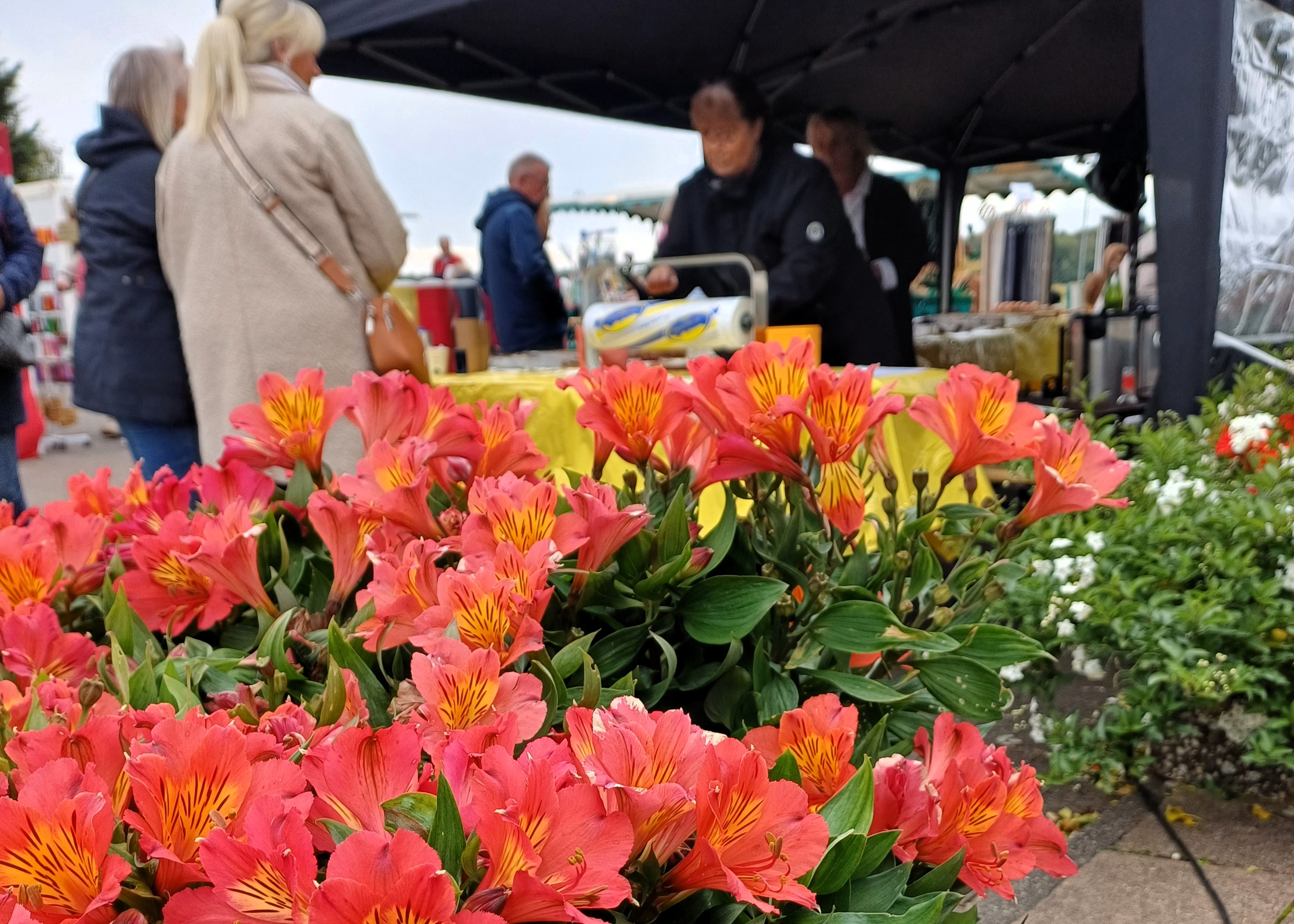 Herbstmarkt Gärtnerei Stefen
